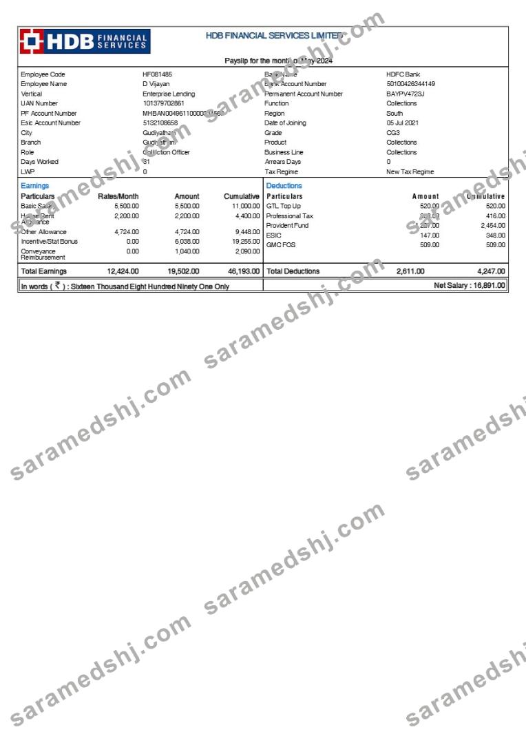 HDB Financial Services payslip template in Word and PDF formats.pdf, 1